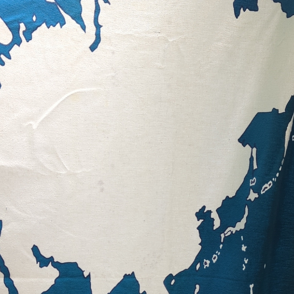 World Map Tapestry/Shower Curtain in Teal and White - Picture 4 of 9